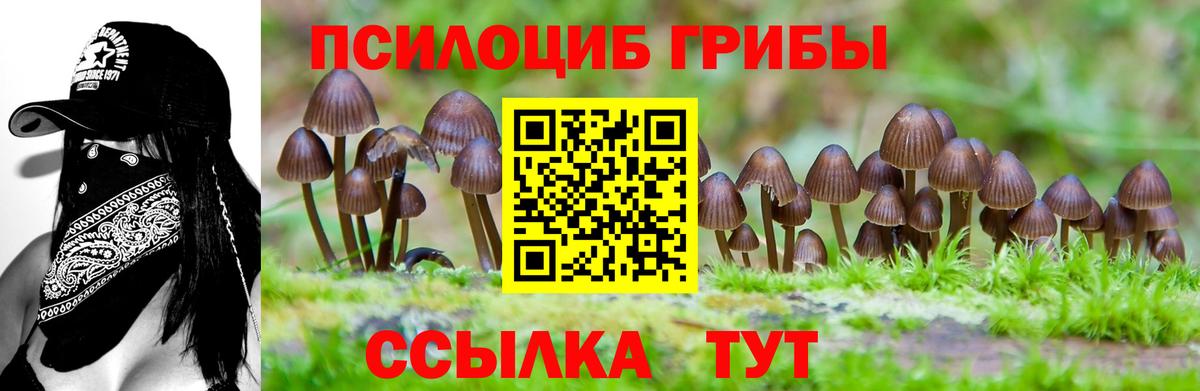 Псилоцибиновые грибы GOLDEN TEACHER  Вход с VPN  Белогорск 